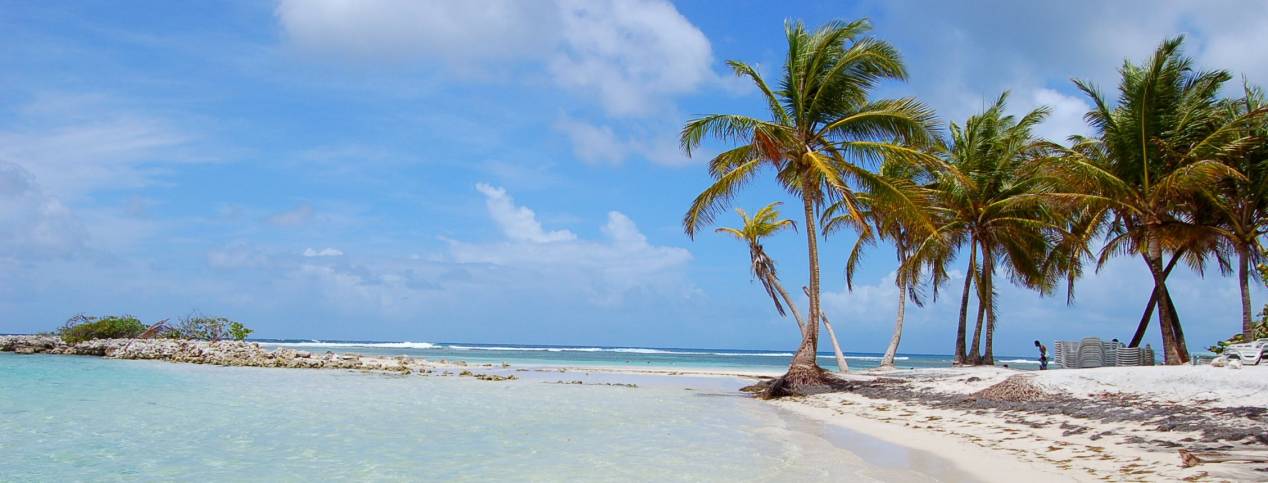 Découverte de la Guadeloupe!