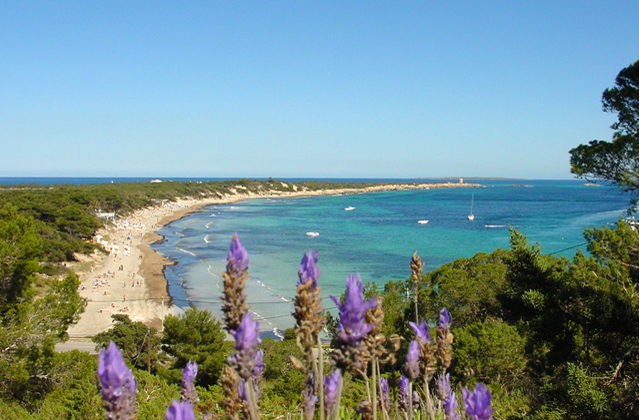plus belle plage ibiza