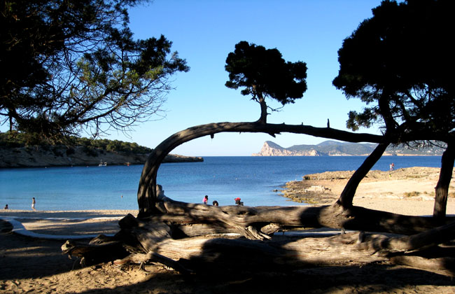 cala bassa ibiza