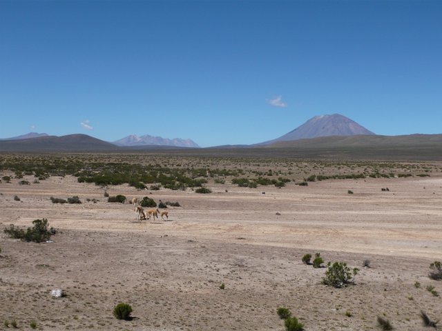 reserva nacional salinas y aguada blanca
