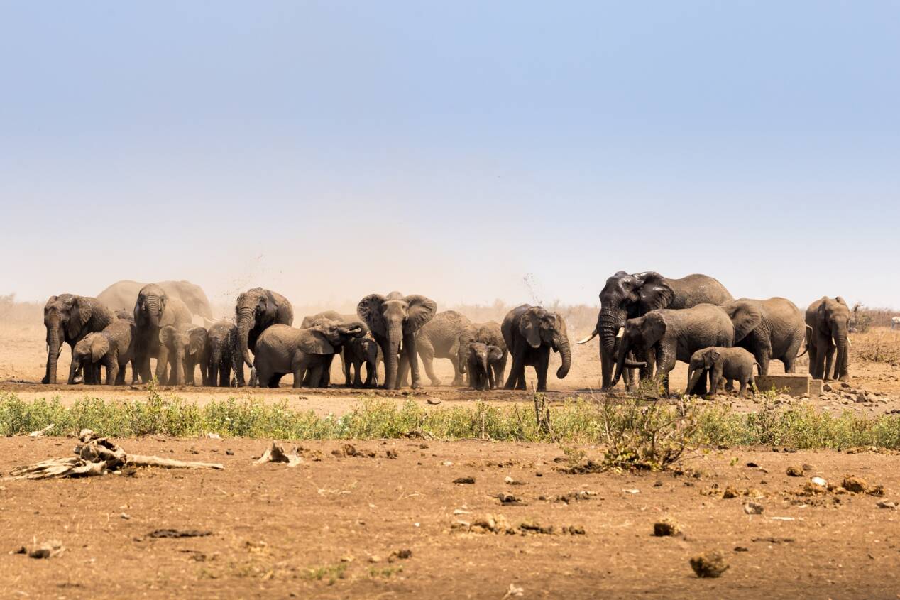 parc kruger