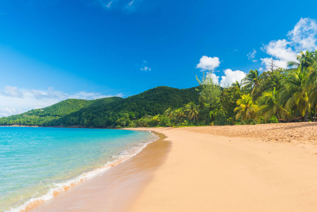 plage deshaies guadeloupe