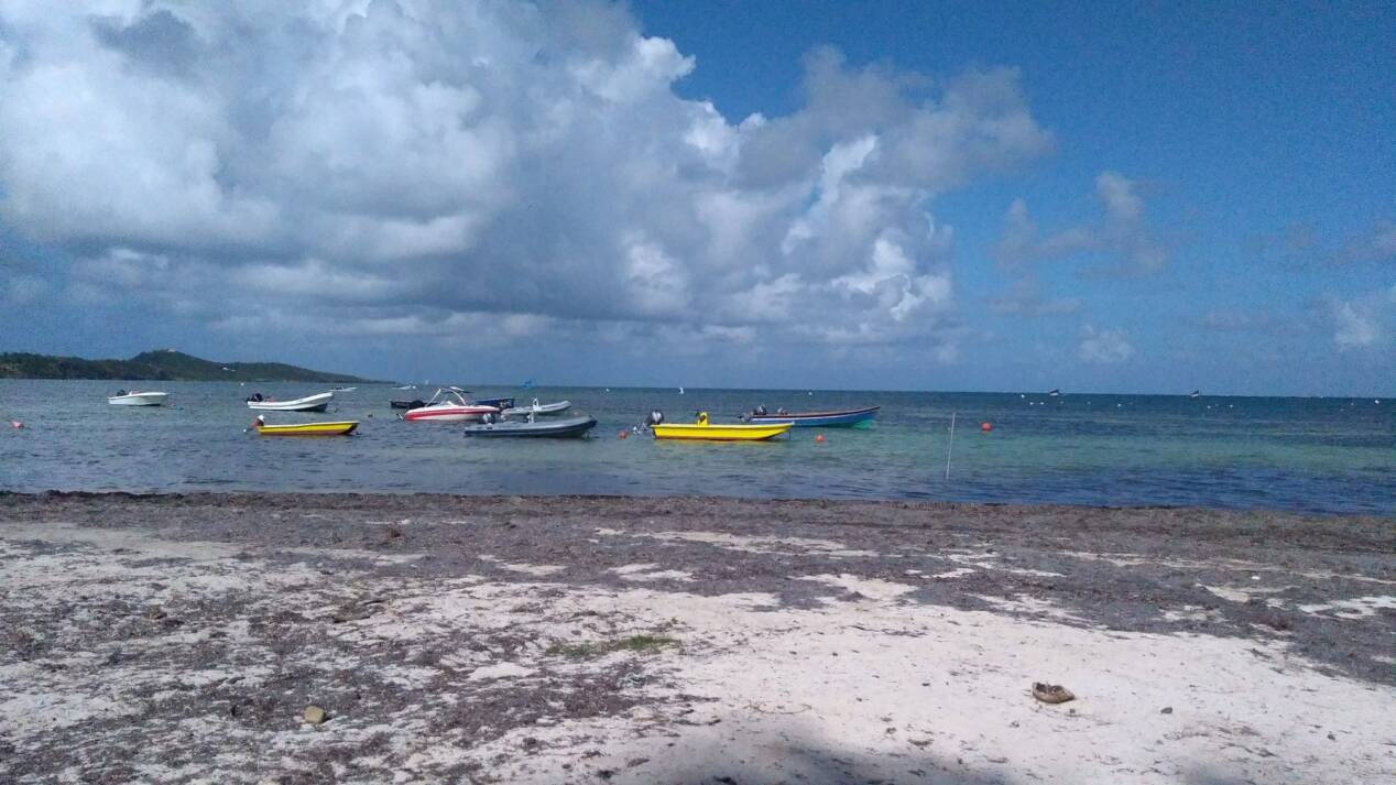 pointe faula