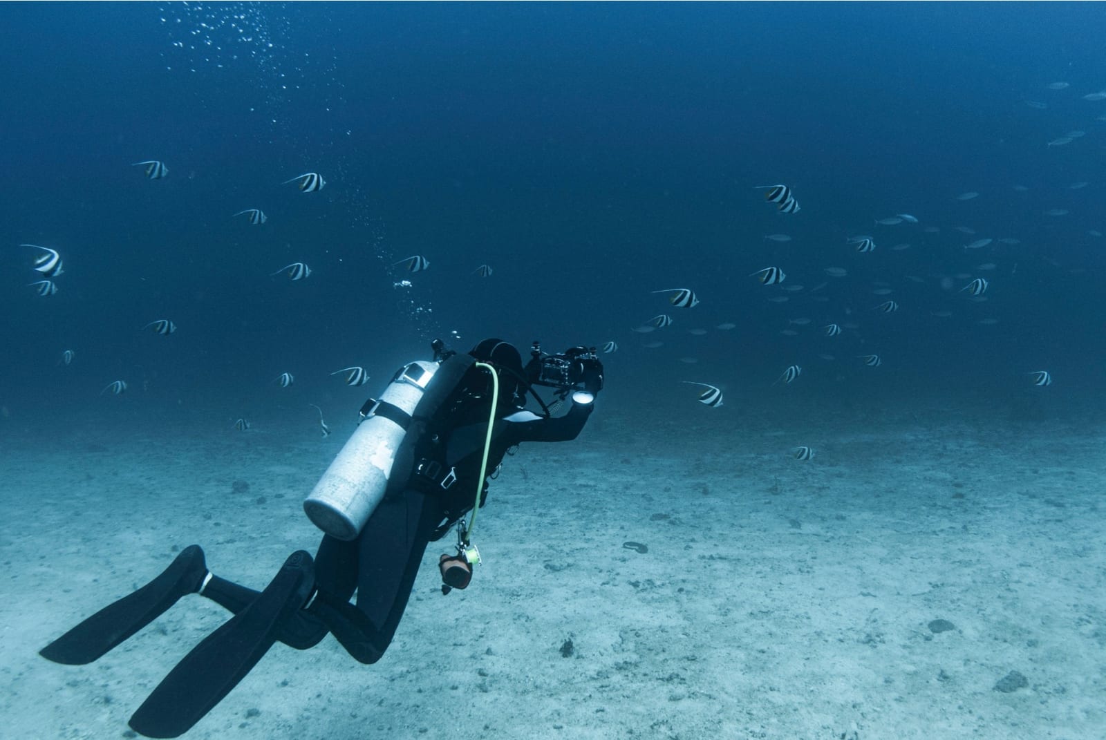 Les 5 plus beaux lieux pour faire de la plongée sous-marine