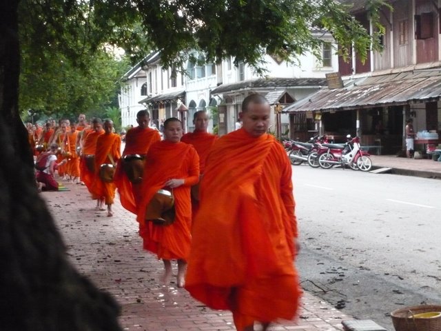 Luang-Prabang-capitale-Laos-moine