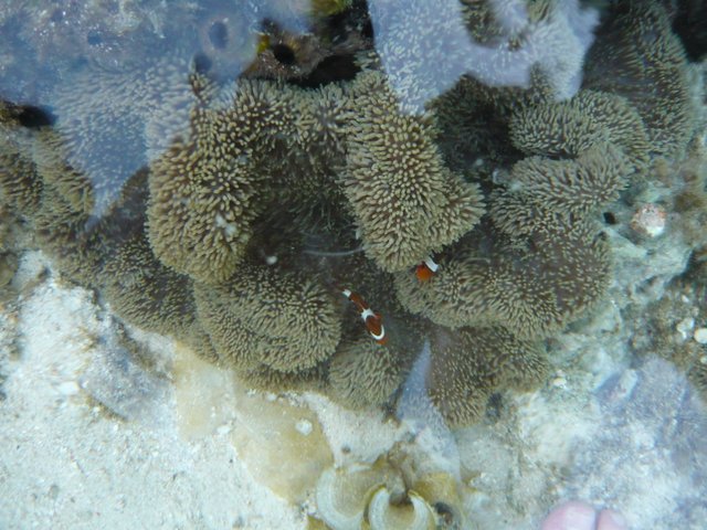 Archipel de Bacuit - El Nido - Palawan - Koh Lanta 4