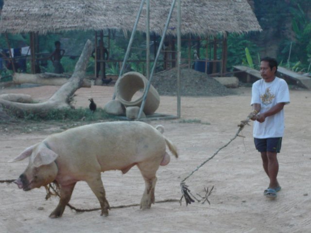 Archipel de Bacuit - El Nido - Palawan - Koh Lanta 8