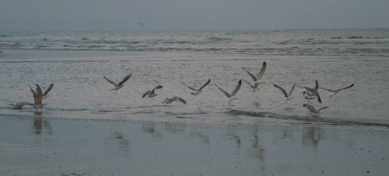 Visiter le Nord Pas de Calais