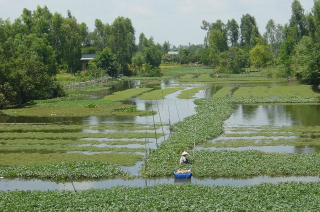 Route Chau Doc - Mont Sam