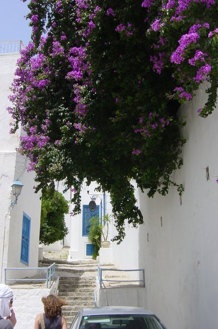 Sidi Bou Saïd