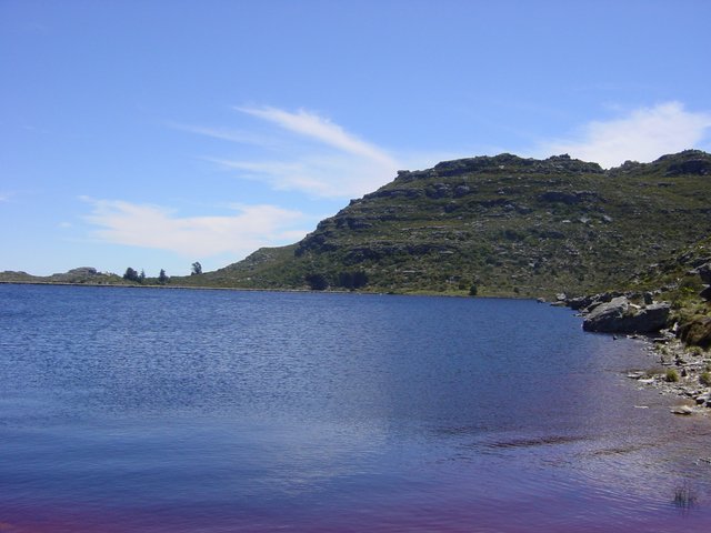 Parc National de la Table Mountain