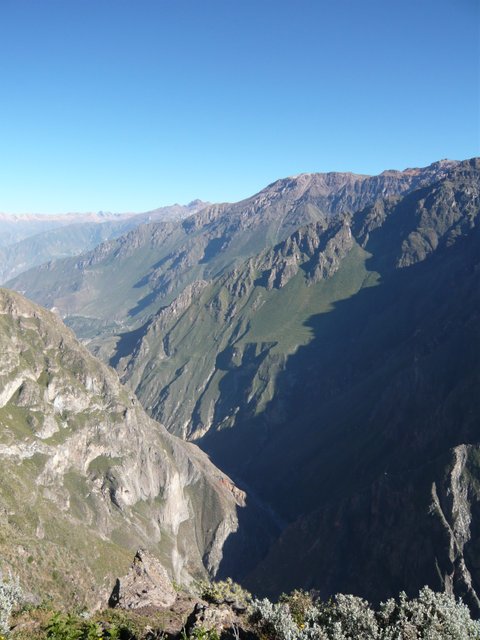 canyon de colca arequipa