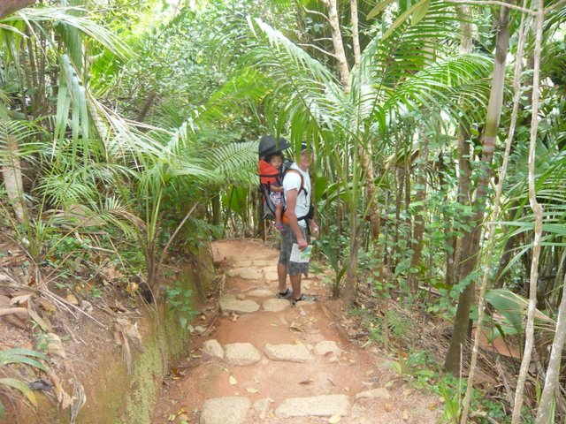 vallee de mai praslin