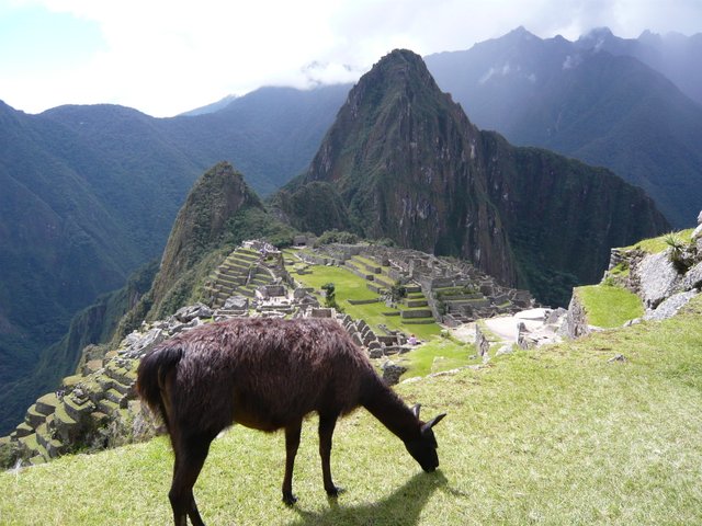 photo-machu-picchu