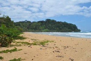 bocas del toro au panama