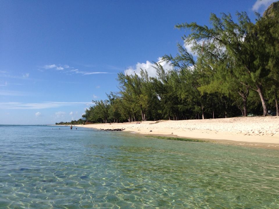 plage morne brabant