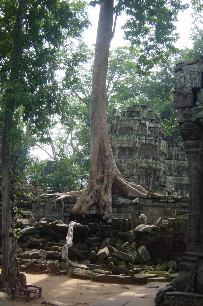 ta prohm