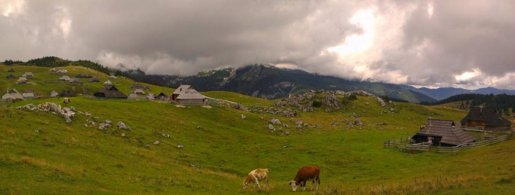 Velika_Planina