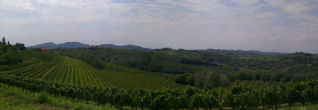 Vignoble_de_Dobrovo