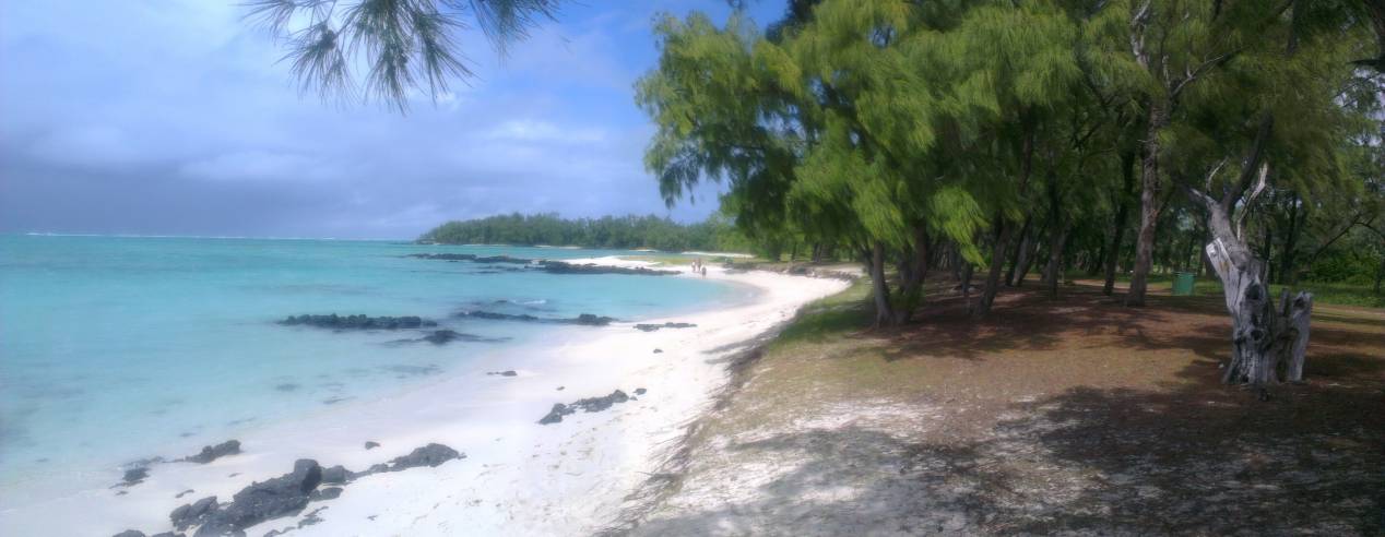 ile aux cerfs