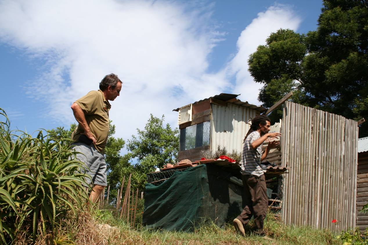 township-knysna-rastafari