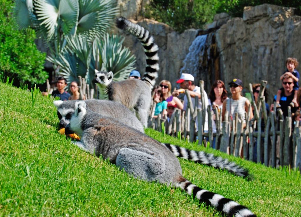 bioparc valencia