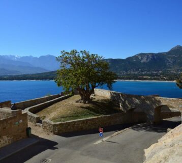 calvi