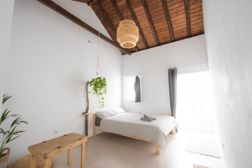 casa calma yoga guesthouse