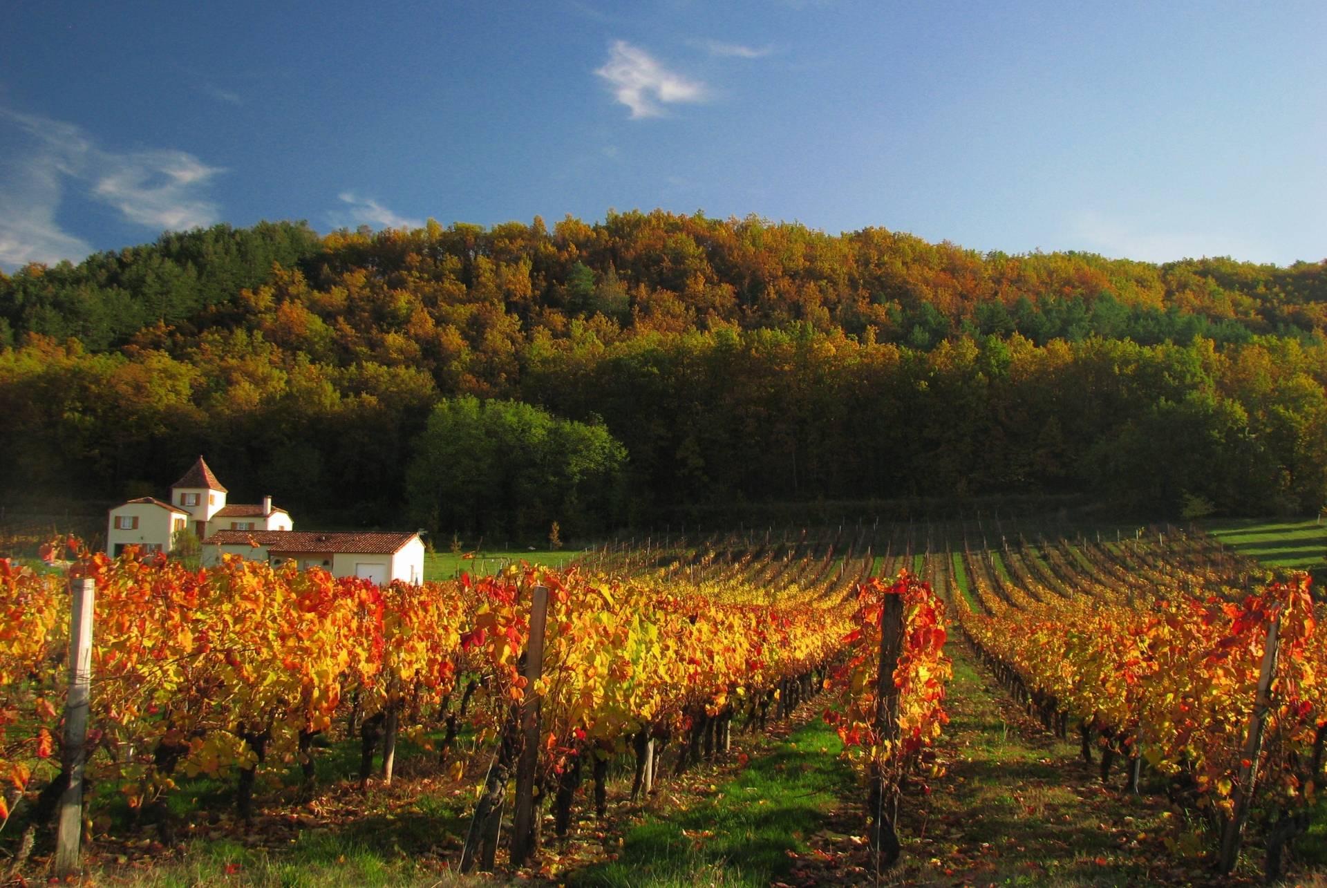 automne