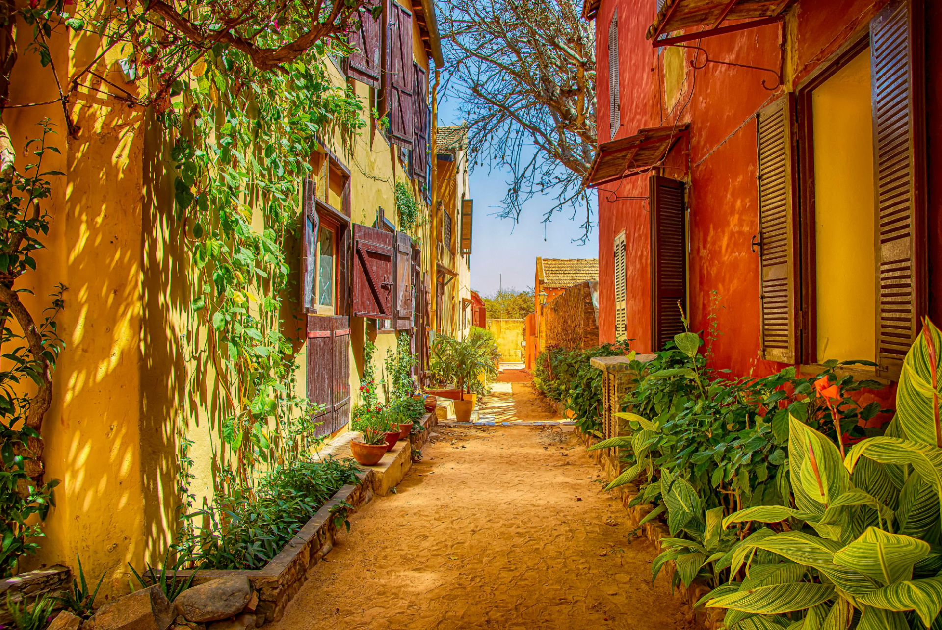 ile de goree dakar