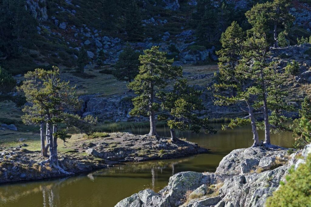 plus beaux lacs auvergne rhone alpes