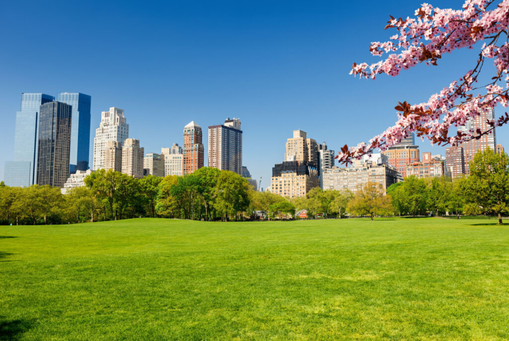 Spring central