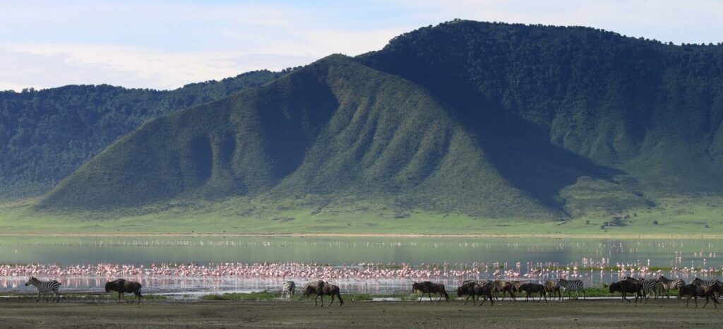 ngorongoro safari afrique