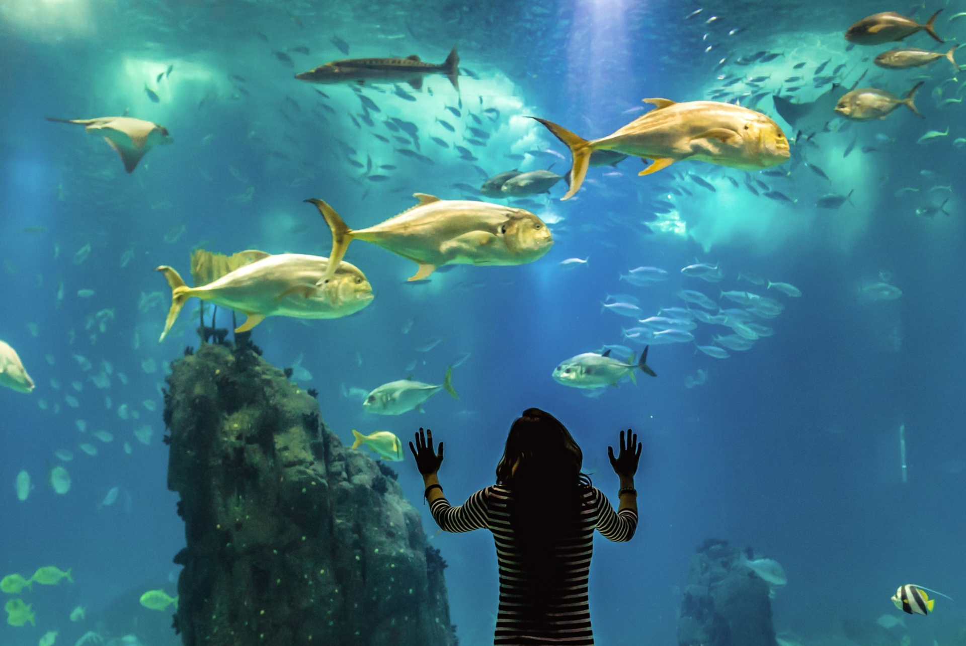 oceanarium lisbonne