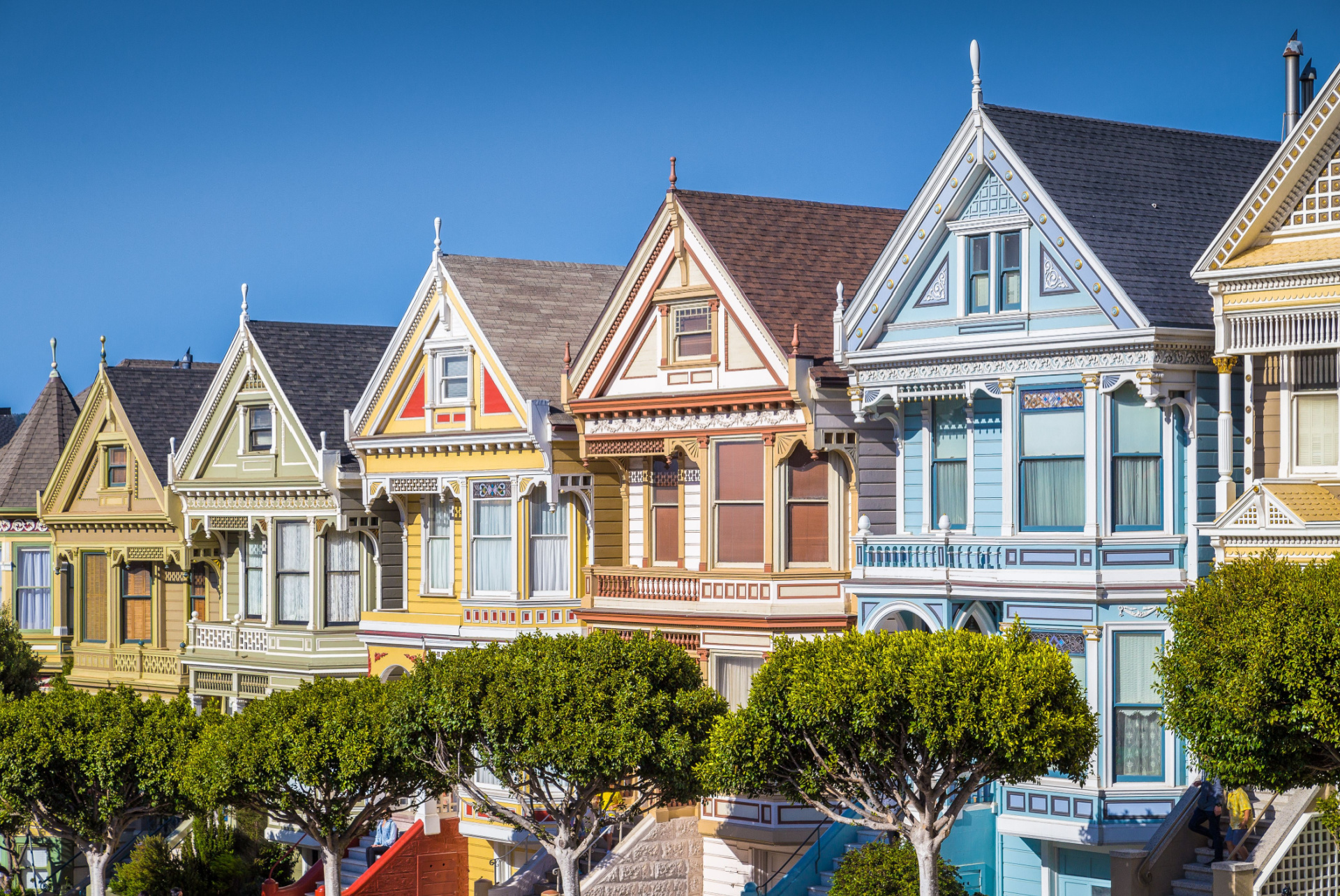 painted ladies