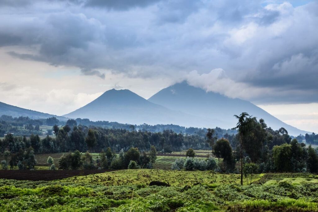 parc des volcans safari afrique