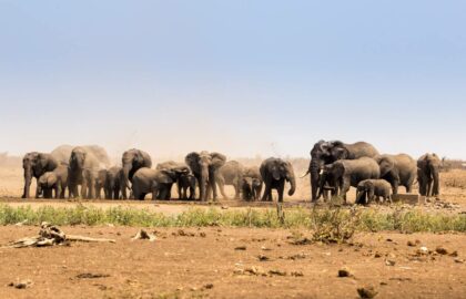 parc kruger