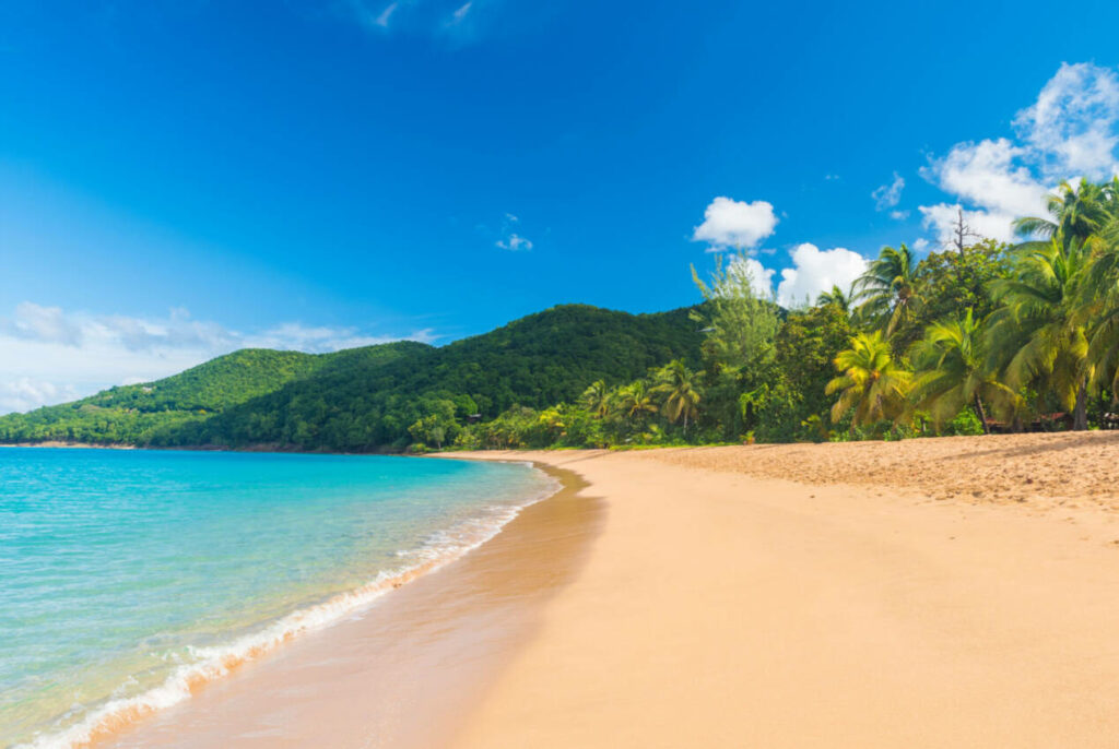 plage deshaies guadeloupe