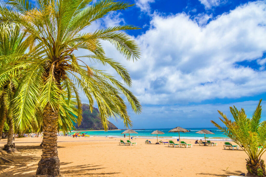 profiter des plages de tenerife