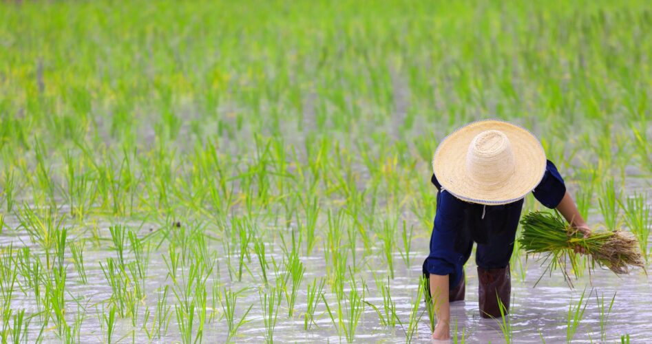 quand partir thailande