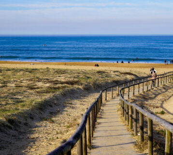 que faire a hossegor