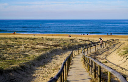 que faire a hossegor