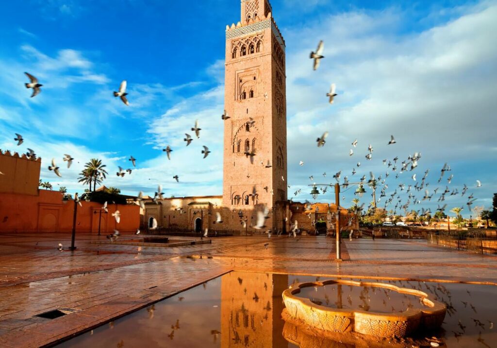 que faire a marrakech