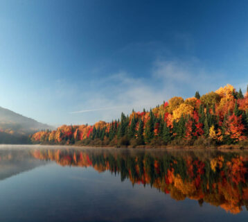 que faire canada