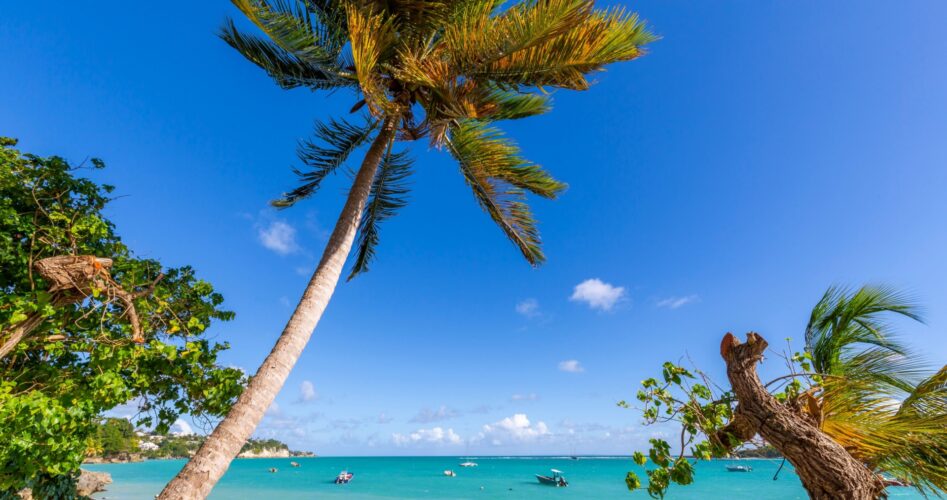 que faire pointe a pitre