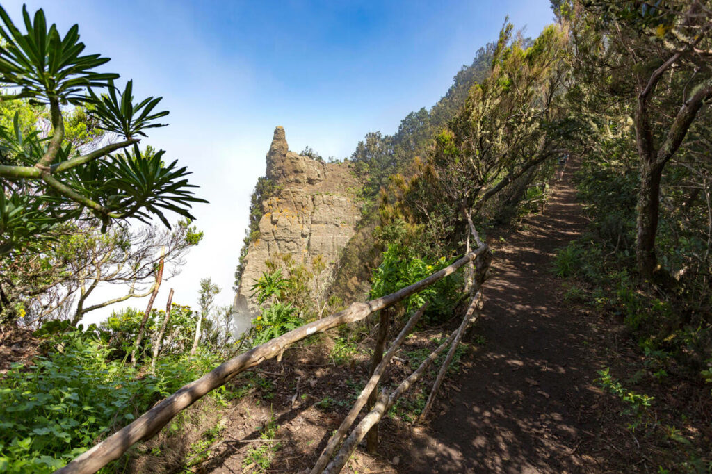 quoi faire à tenerife