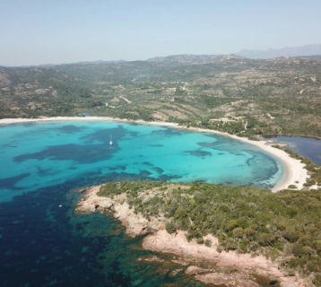 rondinora-corse