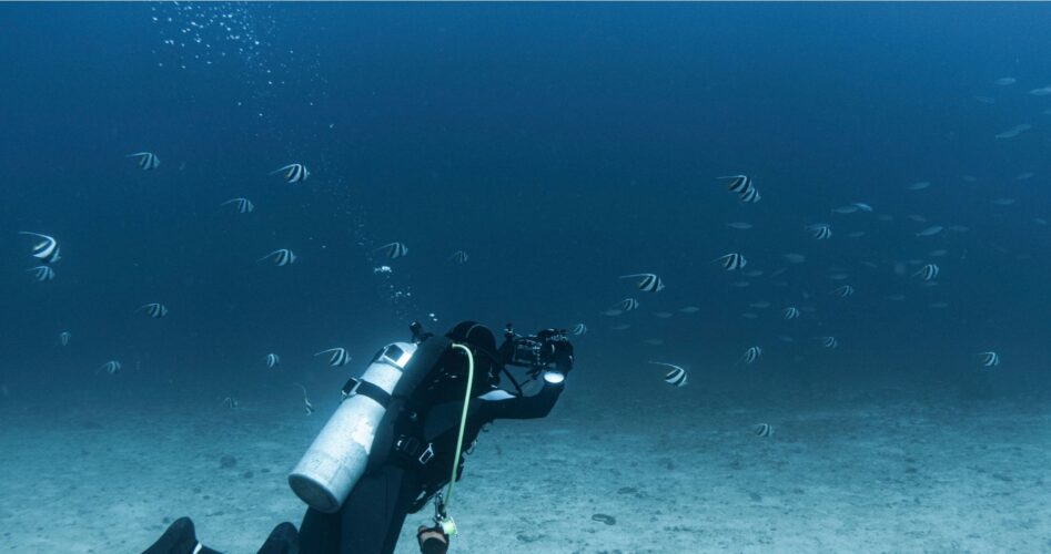 spots de plongee sous marine