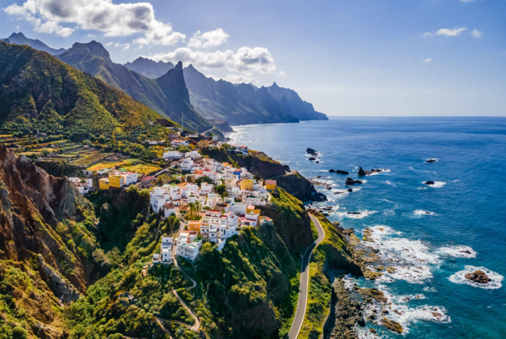 tenerife canaries