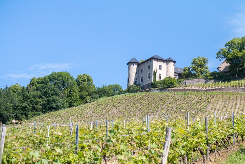 vignoble savoie